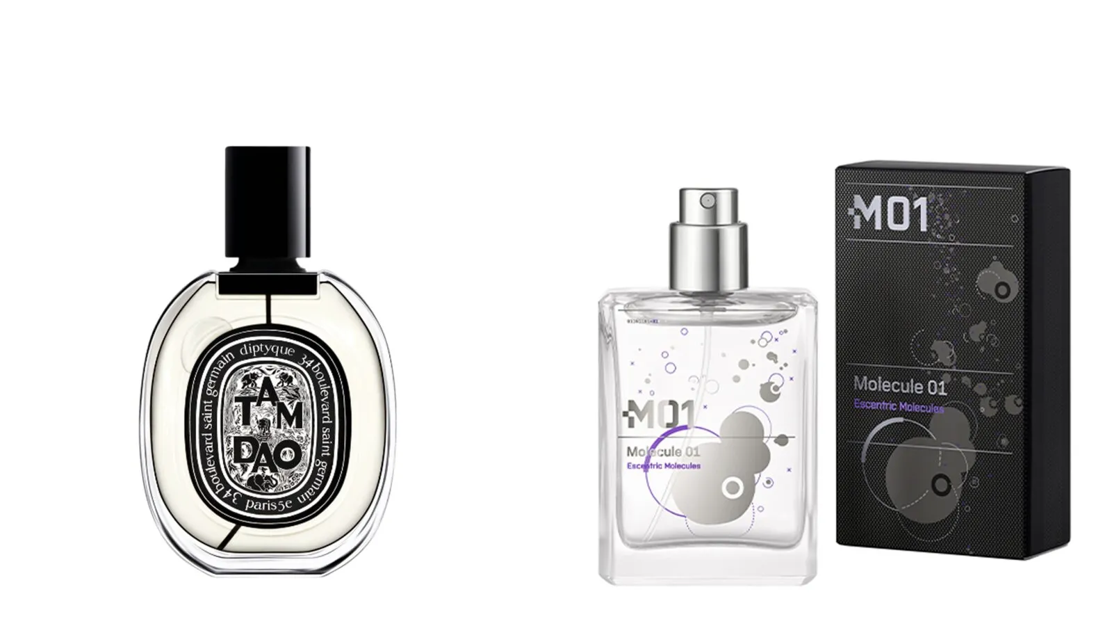 molecule 01 parfum