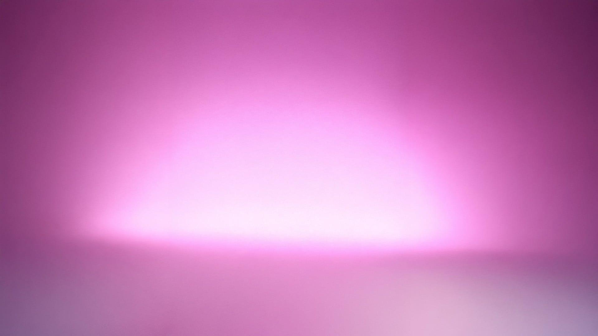 Sneaker Edit