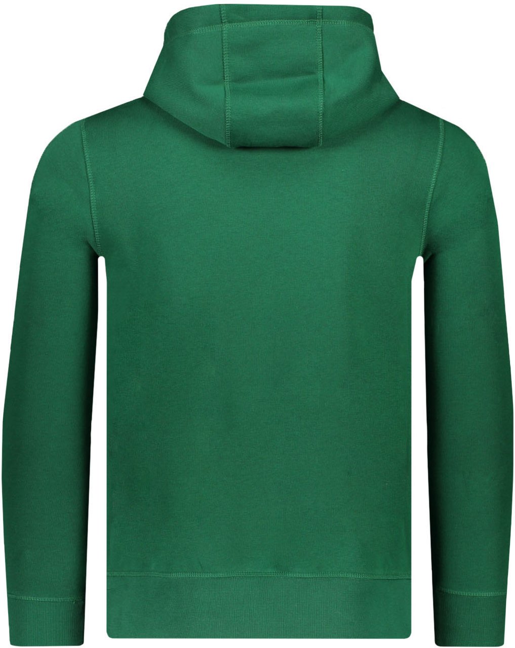 Tommy Hilfiger Hoodies Groen Groen