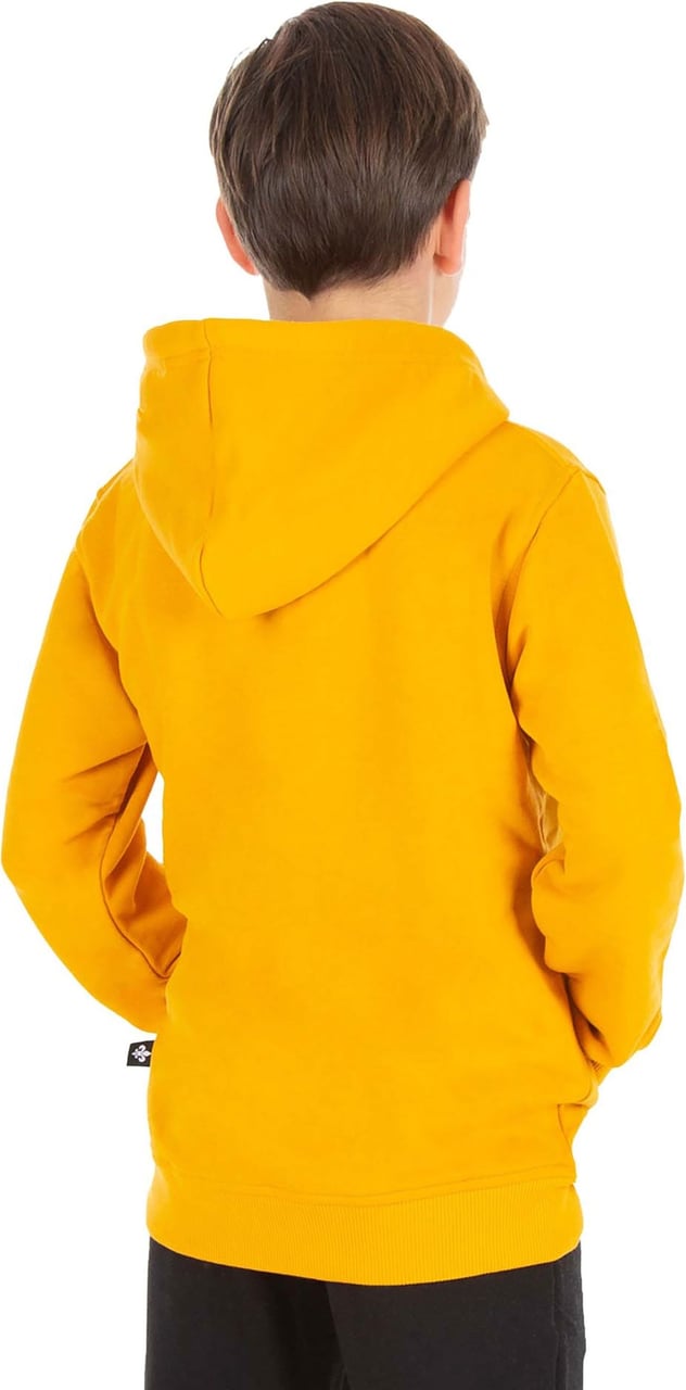 Richesse Brand hoodie Jr Yellow Geel