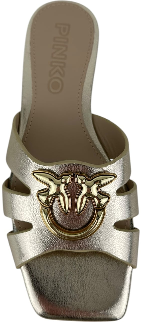 Pinko Dames Slipper Goud