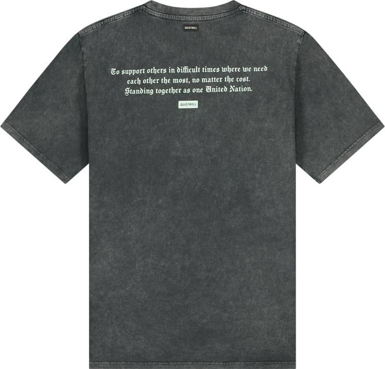 Quotrell Unity T-shirt | Acid Grey / Mint Grijs