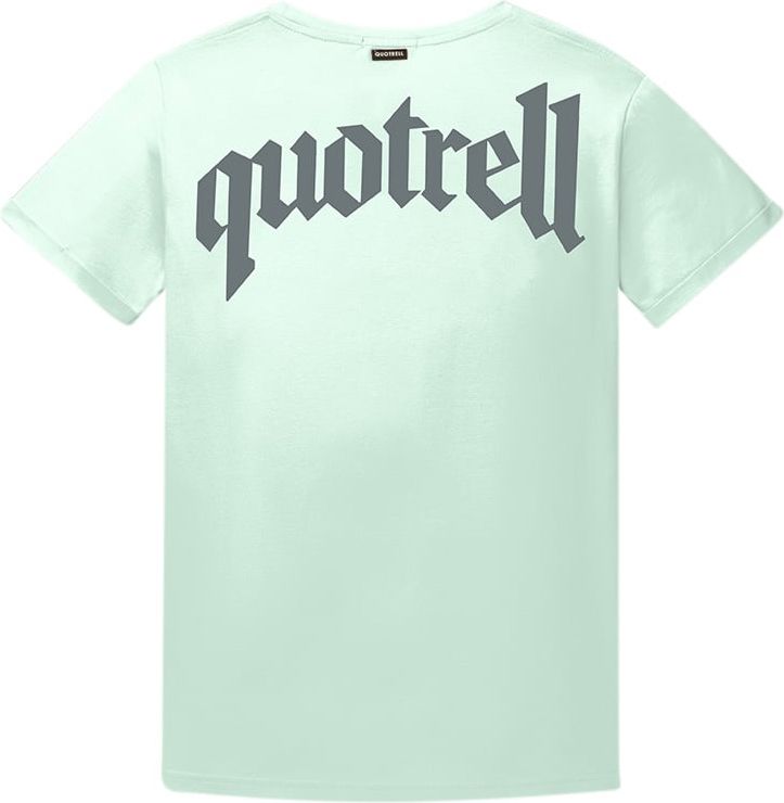 Quotrell Wing T-shirt | Mint / Grey Groen