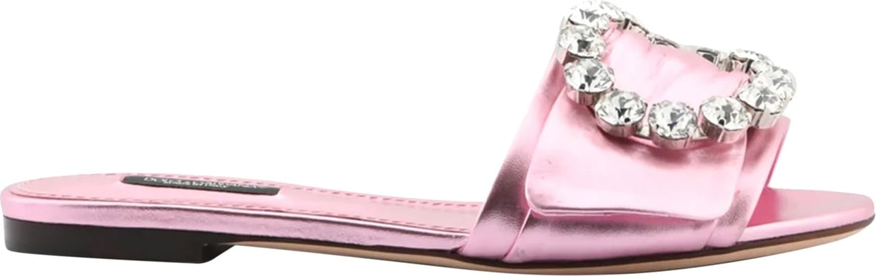 Dolce & Gabbana Dolce & Gabbana Crystal Embellished Flats Roze