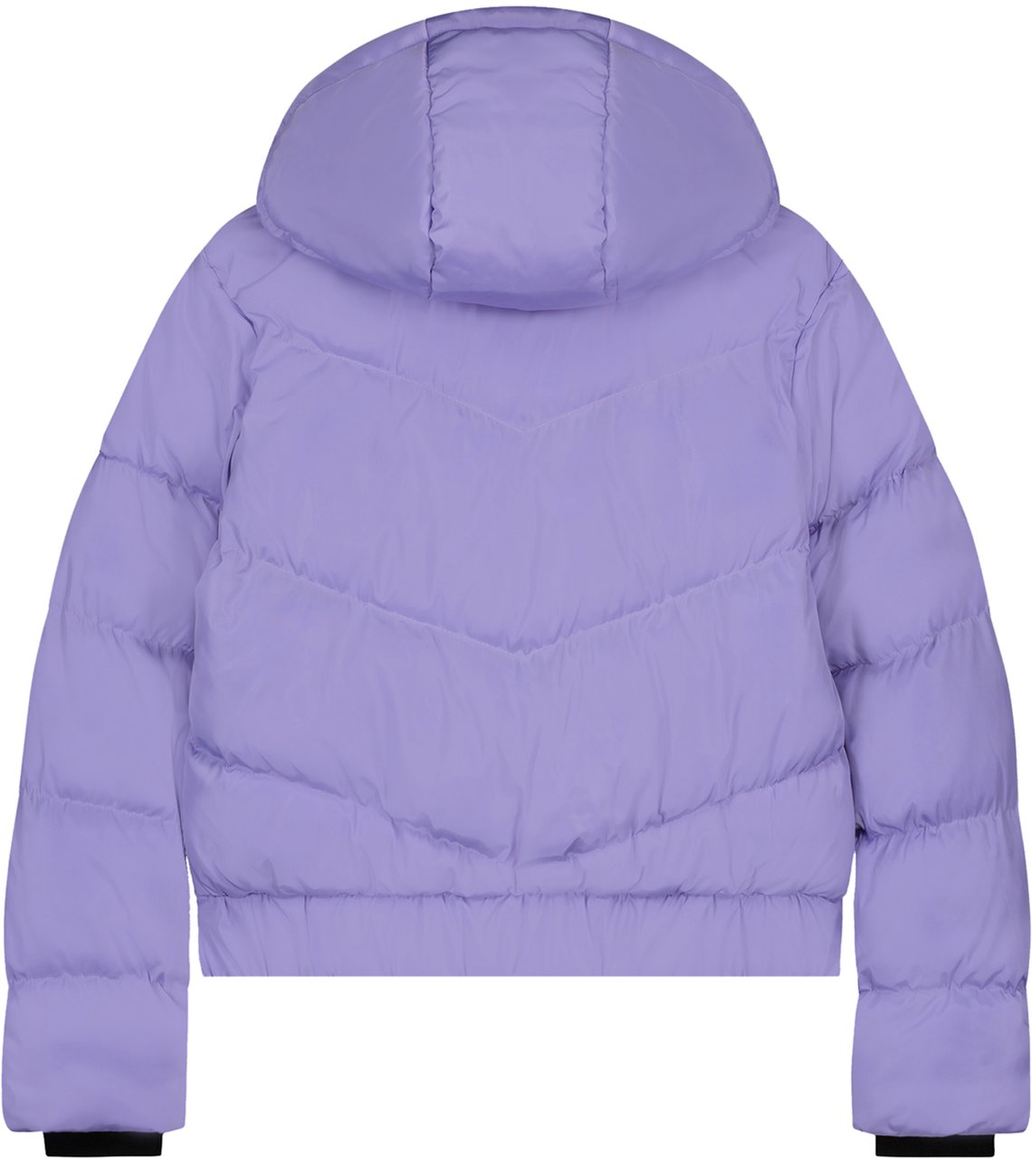Malelions Diagonal Brand Puffer - Purple Paars