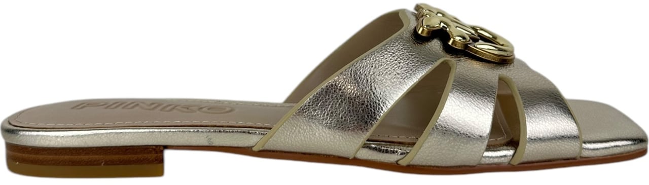 Pinko Dames Slipper Goud