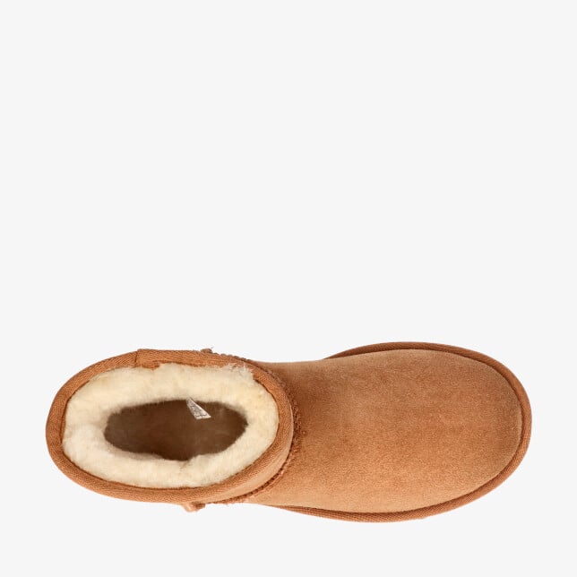 UGG classic mini Bruin