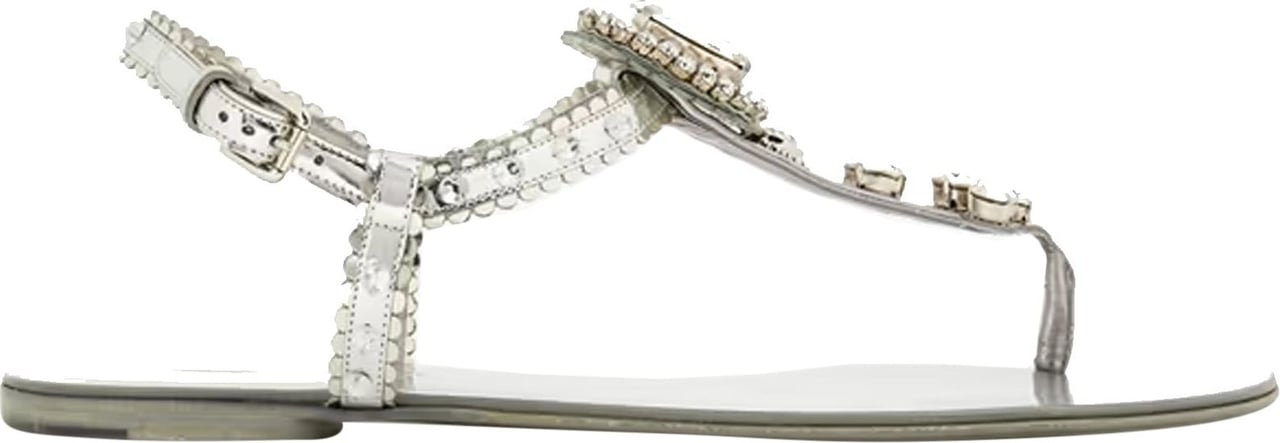 Dolce & Gabbana Dolce & Gabbana Crystal Leather Sandals Zilver