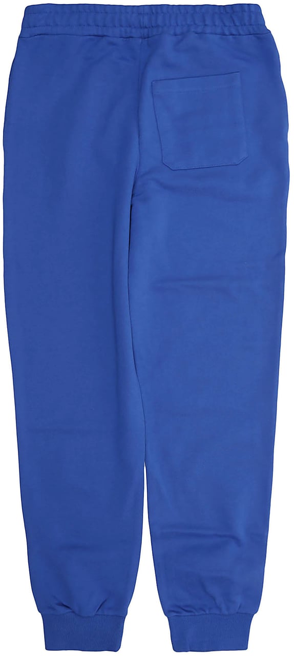 Balmain pants Blauw