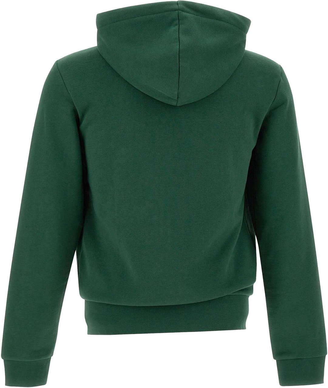 Lacoste Sweaters Green Groen