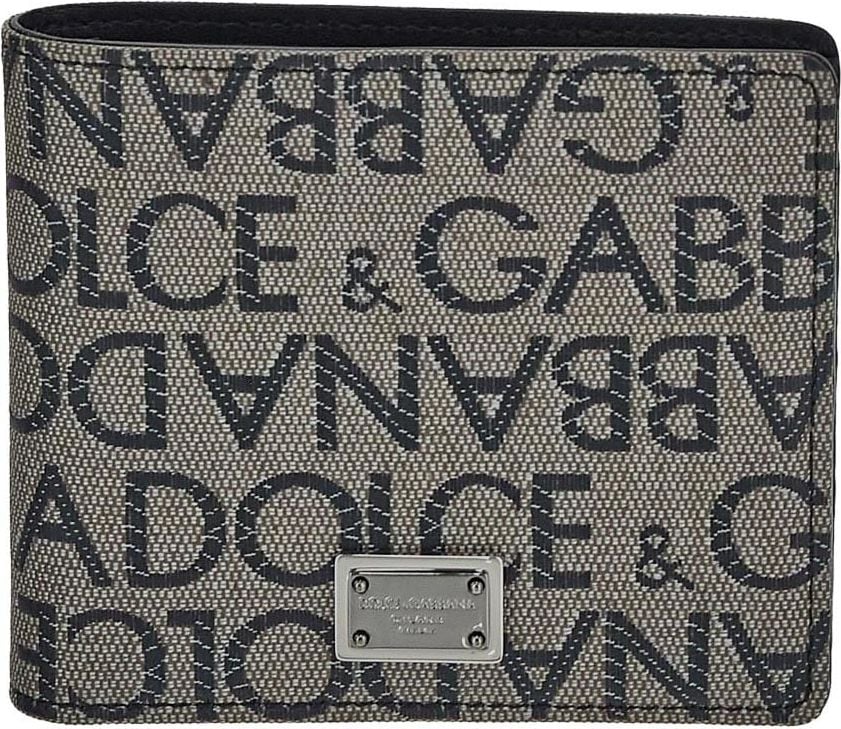 Dolce & Gabbana Logo Wallet Bruin