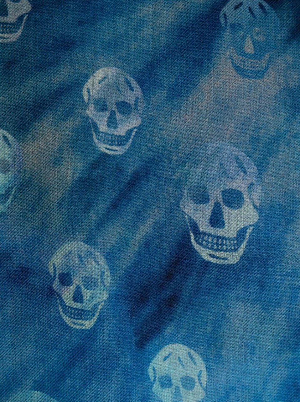 Alexander McQueen Skull Motif Scarf Blauw