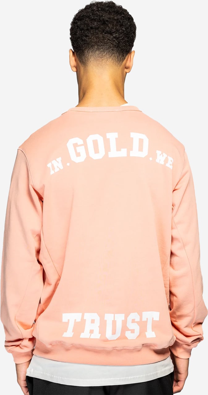 In Gold We Trust The Slim 2.0 Coral Haze Roze