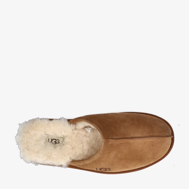 heren uggs pantoffels