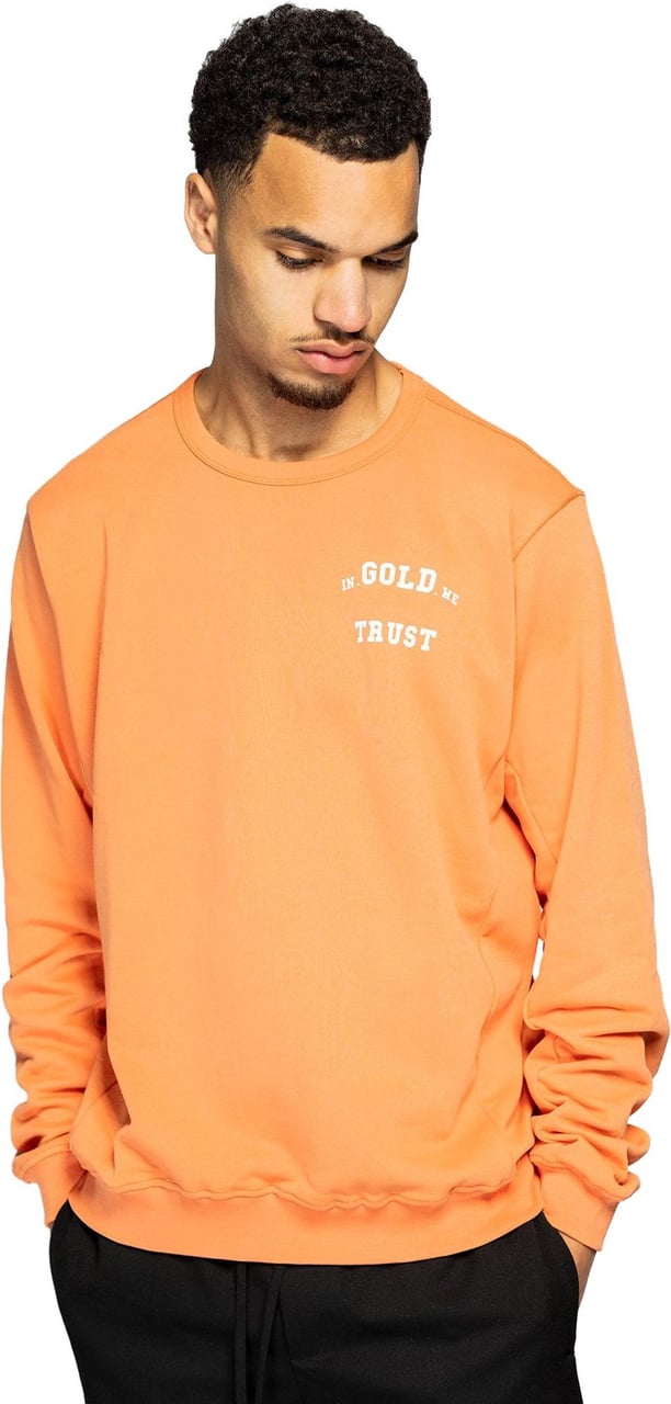 In Gold We Trust The Slim 2.0 Sun Orange Oranje