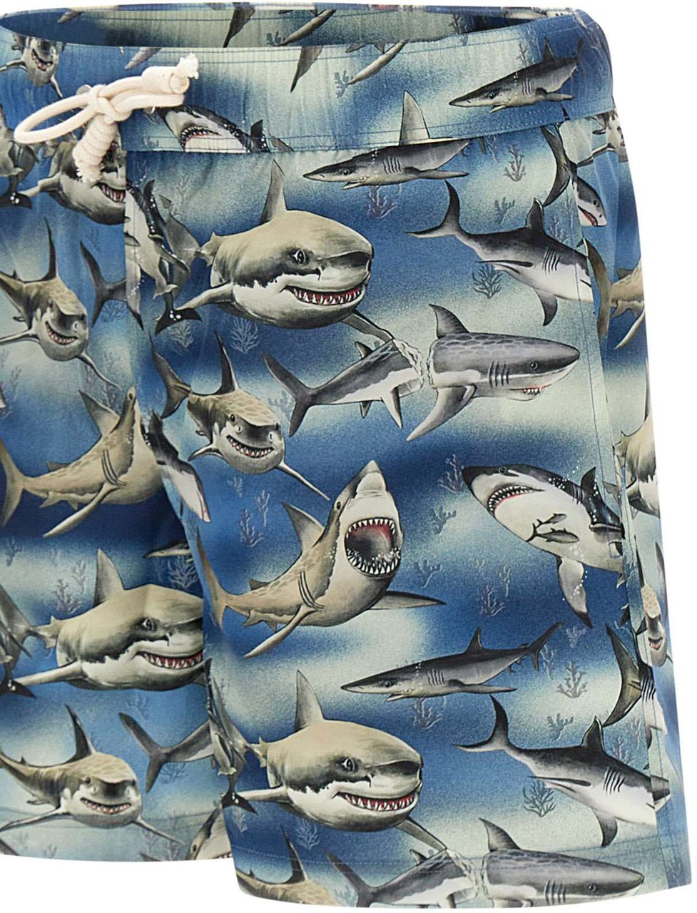 Palm Angels Shark Logo Swim Shorts Blauw