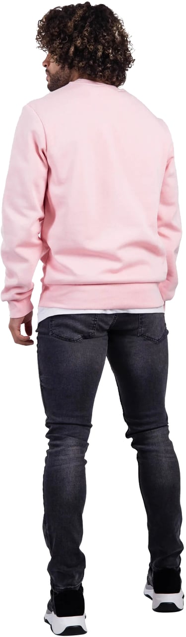 Lacoste Sport Sweater Heren Roze Roze