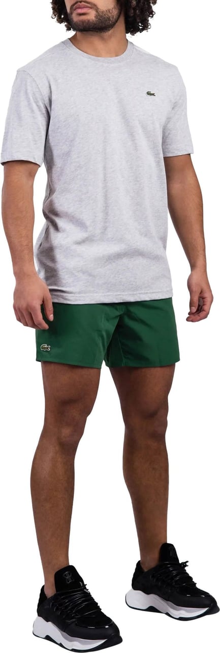 Lacoste Sport Logo T-Shirt Heren Grijs Grijs