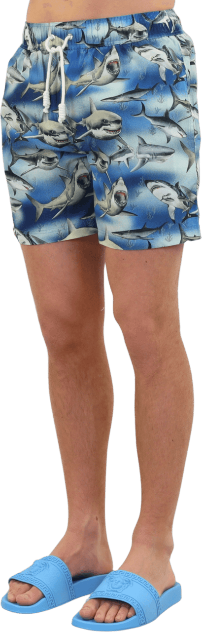 Palm Angels Shark Logo Swim Shorts Blauw