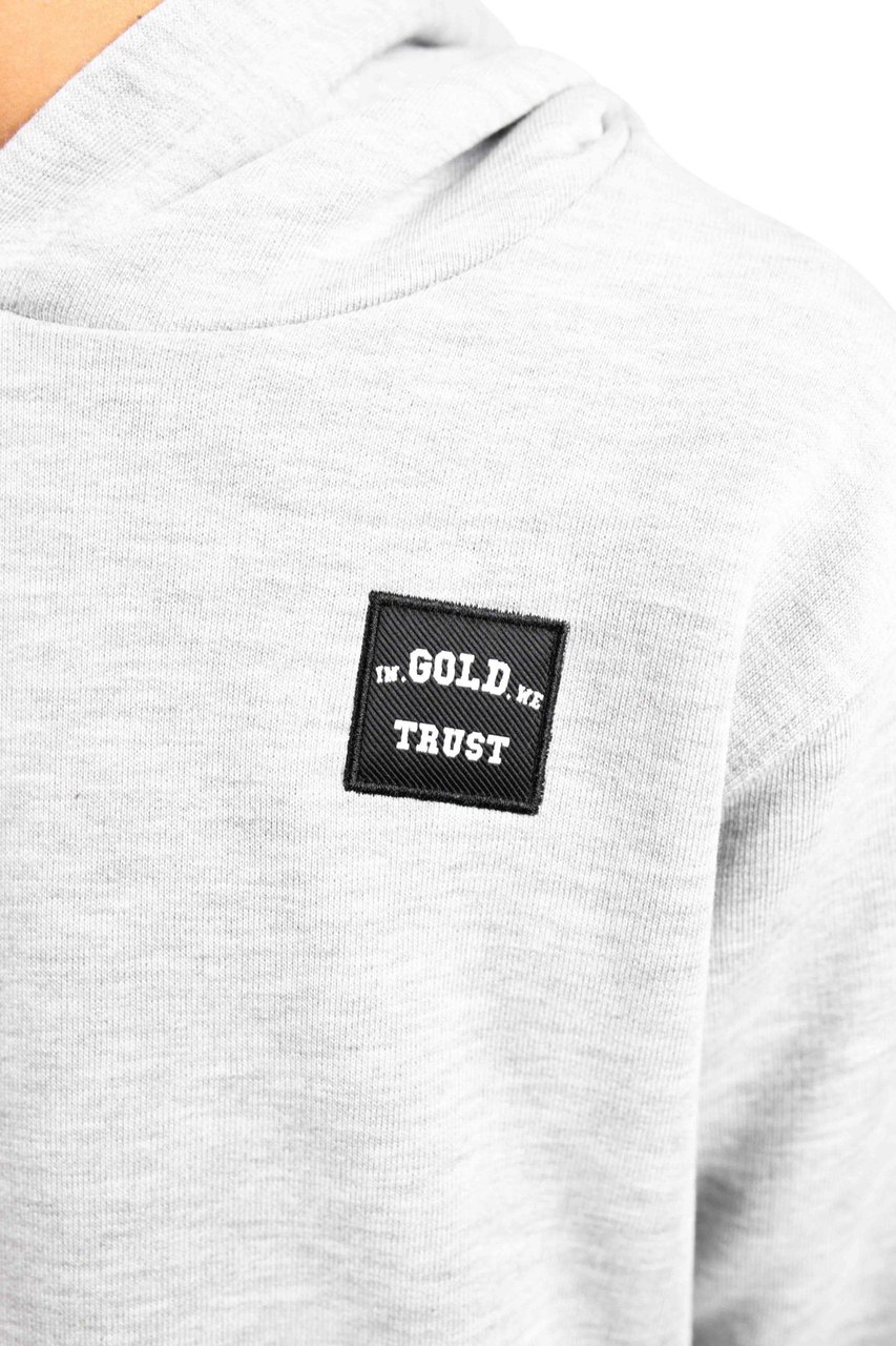 In Gold We Trust Kids The Expension Grey Melange Grijs