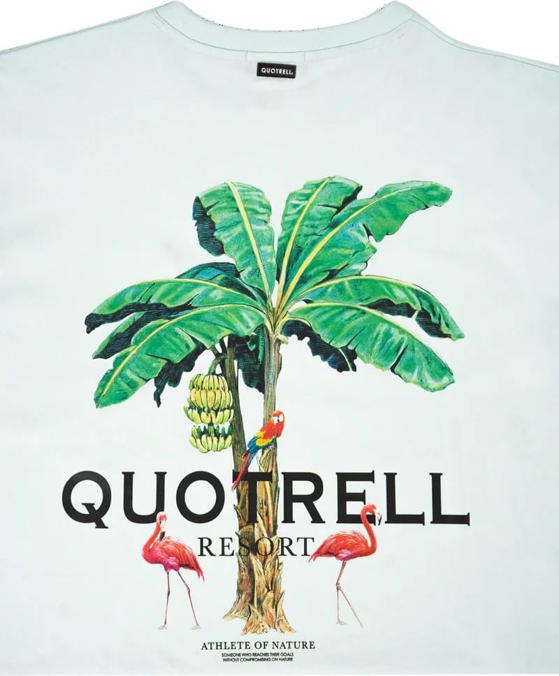 Quotrell Resort T-shirt | Faded Blue/black Blauw
