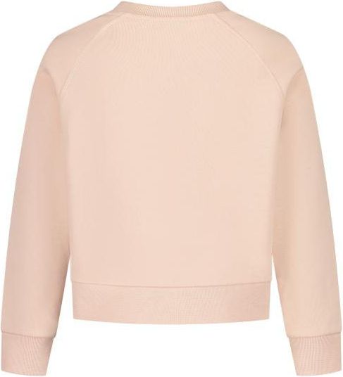 Moncler Sweatshirt Roze