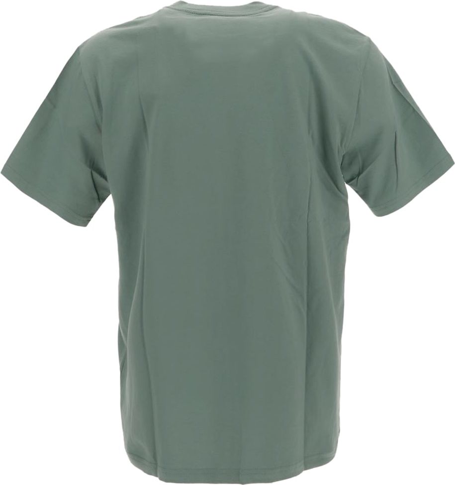 Carhartt Printed T-Shirt Groen