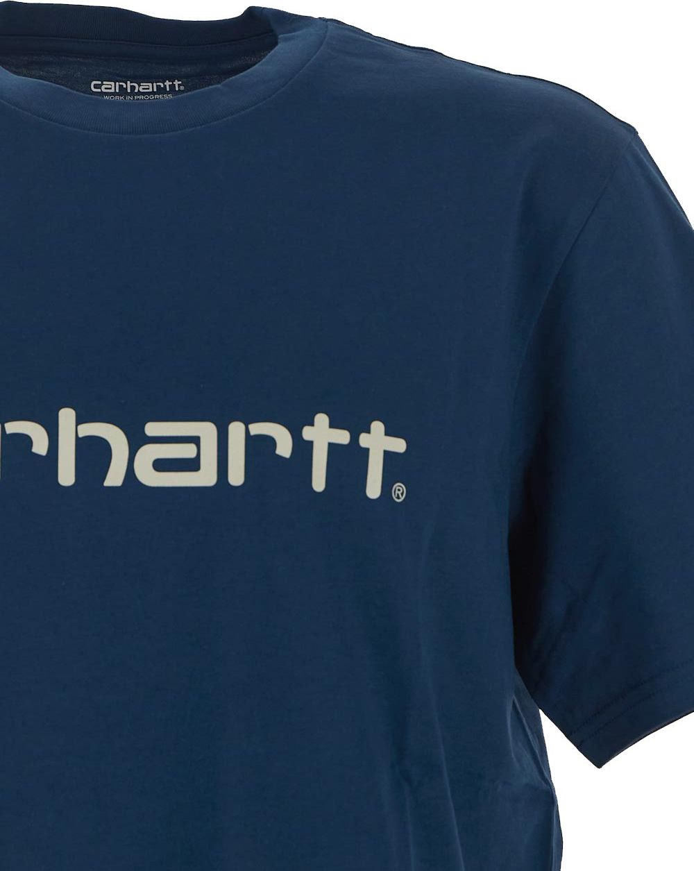 Carhartt Script T-Shirt Blauw