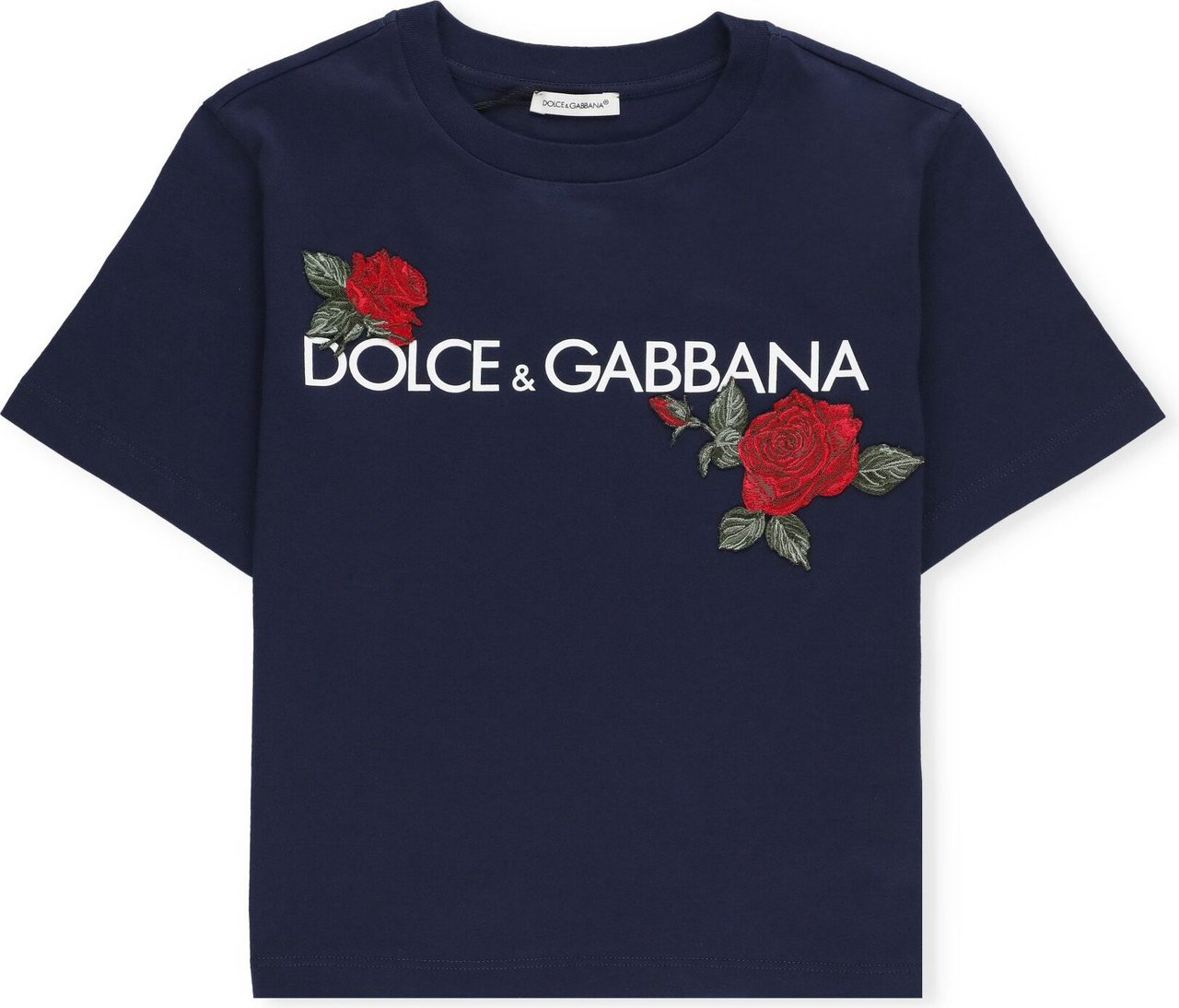 Dolce & Gabbana T-shirts And Polos Blue Blauw