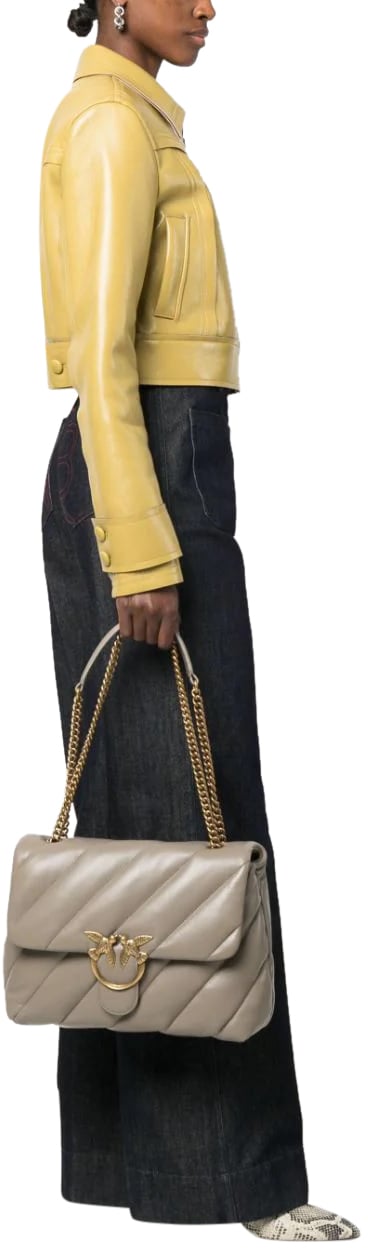 Pinko Bags Brown Bruin