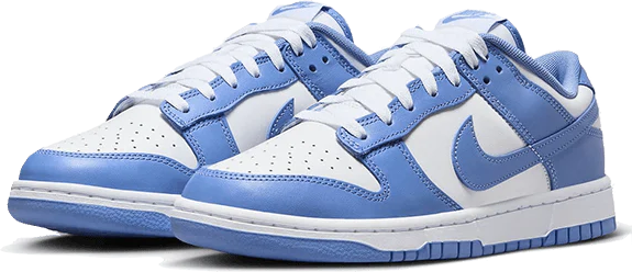 Nike Dunk Low Polar Blue Blauw