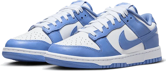 Nike Dunk Low Polar Blue Blauw