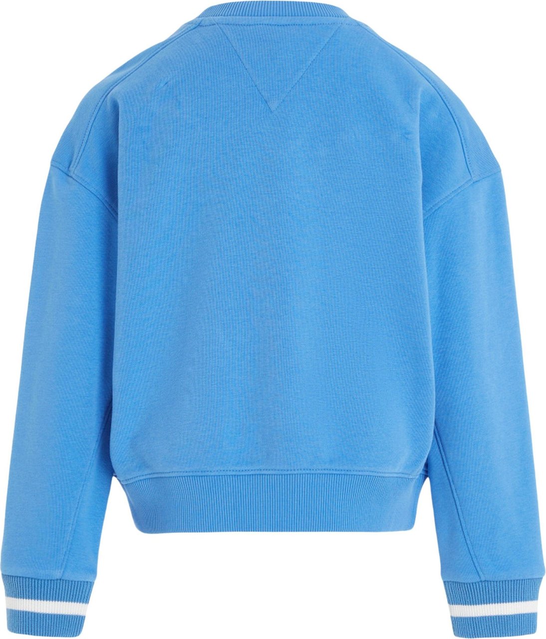 Tommy Hilfiger Sweater Blauw