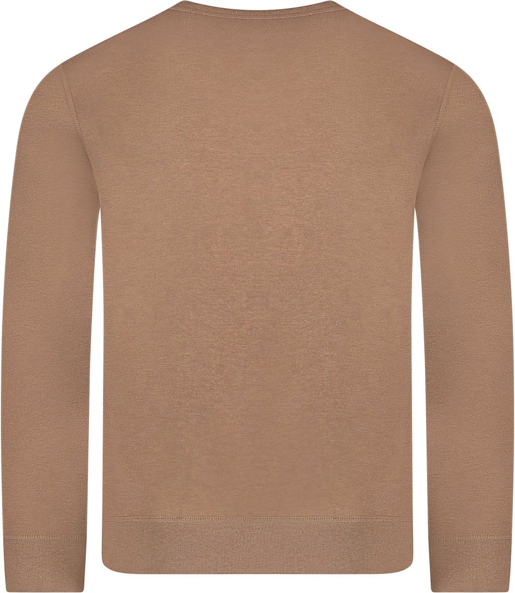 Ralph Lauren Polo Sweater Bruin Bruin