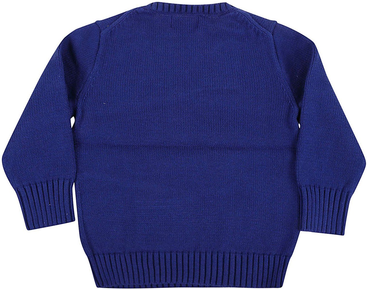 Ralph Lauren lscnholdogsweaterpullover Blauw