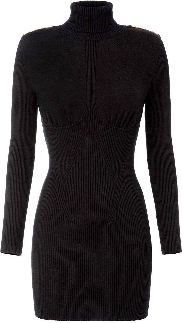 Elisabetta Franchi Black Knitted Turtleneck Dress Black Zwart