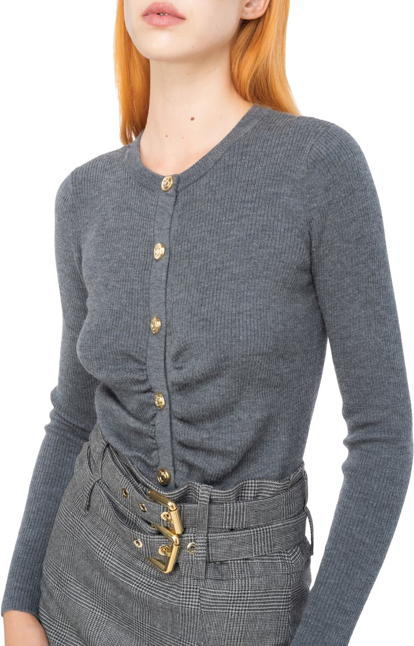 Pinko Sweaters Grey Grijs