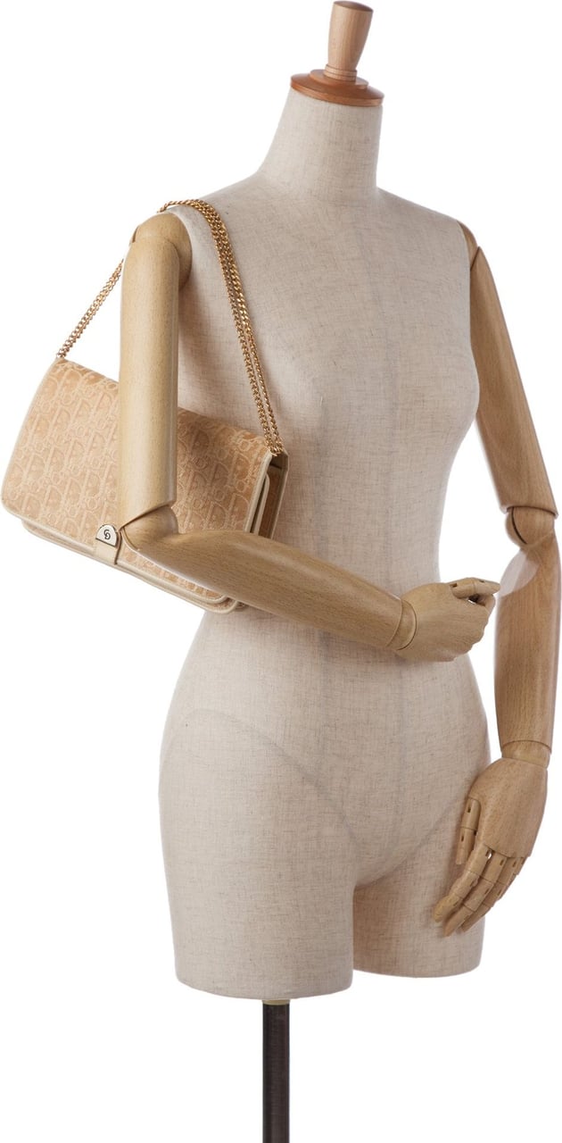 Dior Oblique Chain Shoulder Bag Bruin