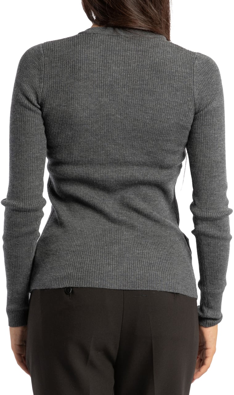 Pinko Sweaters Grey Grijs