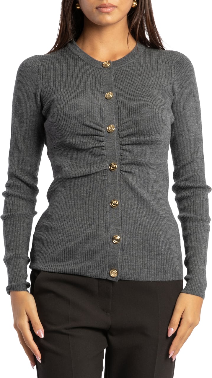 Pinko Sweaters Grey Grijs