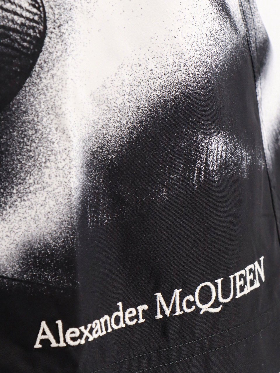 Alexander McQueen DragonFly Shadow swim trunk Divers