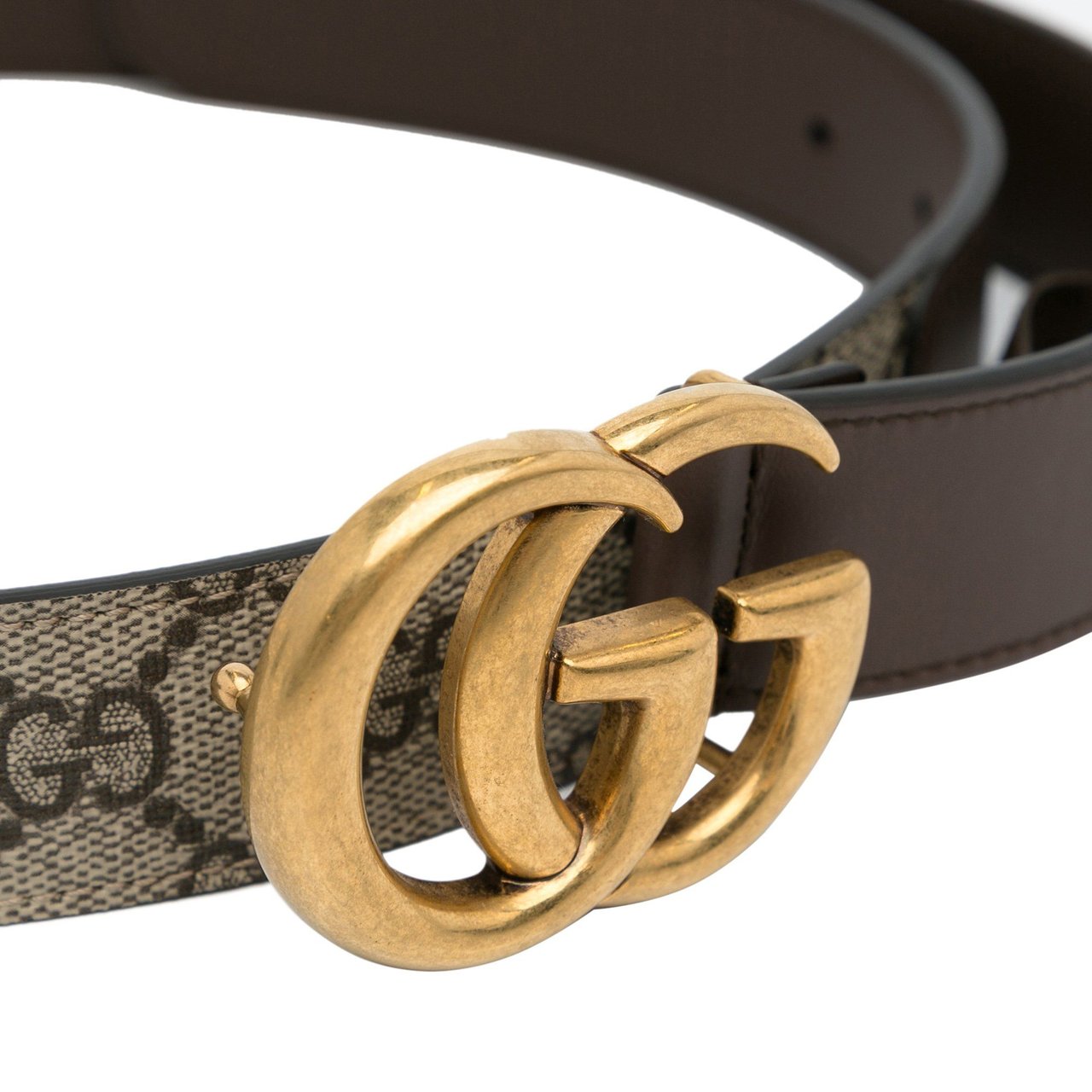 Gucci GG Marmont Logo Belt Bruin