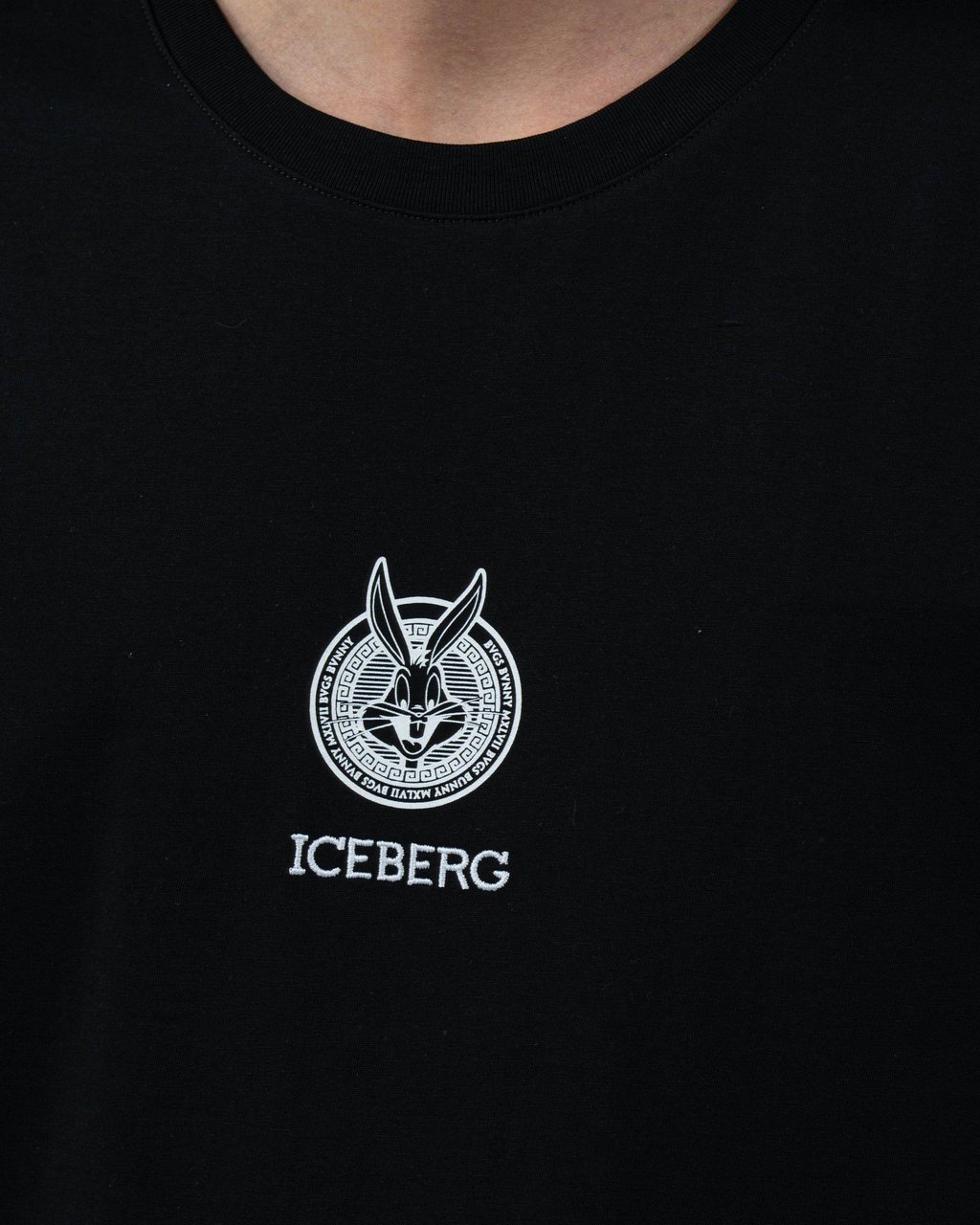 Iceberg T-Shirt Divers