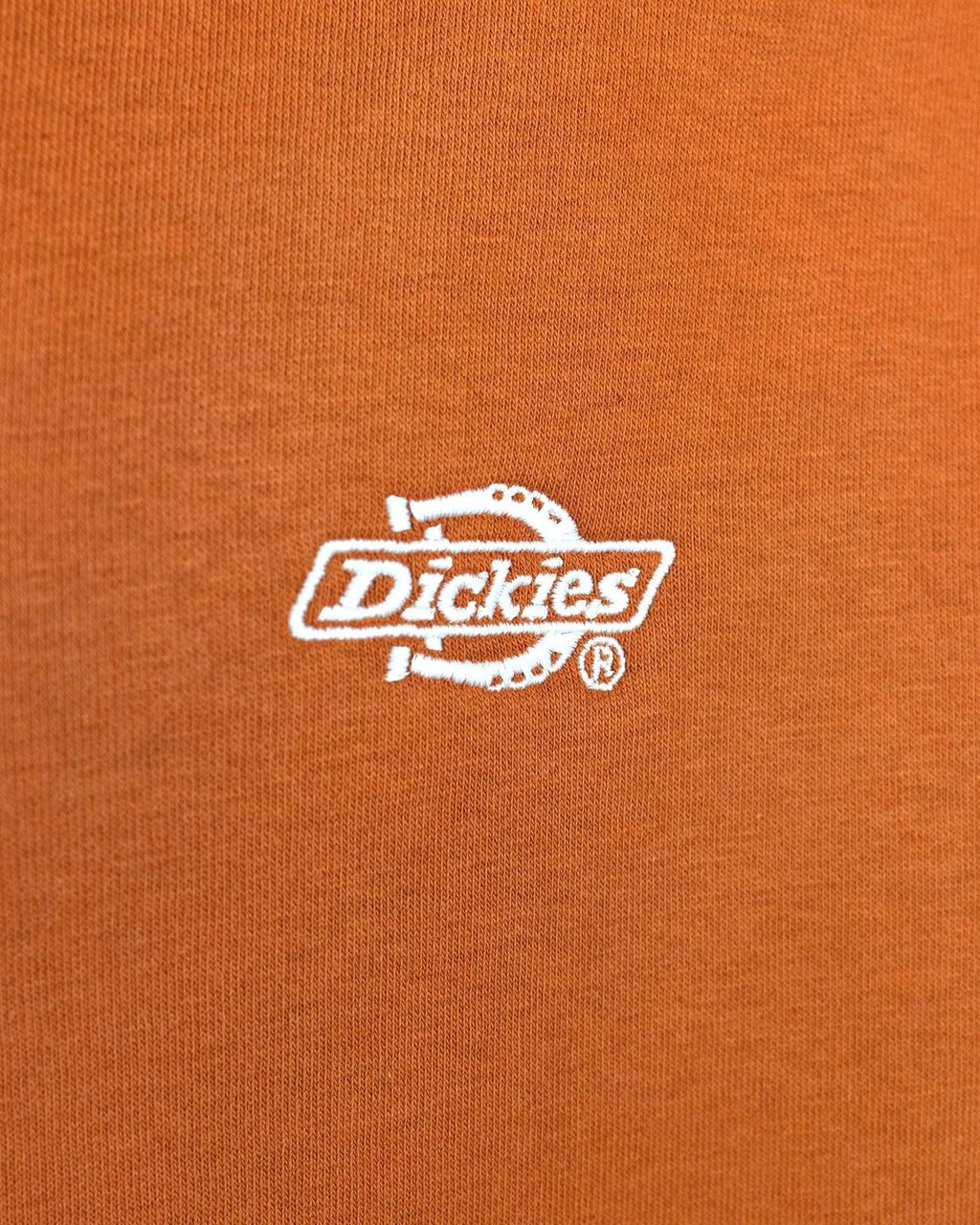 Dickies DICKIES Sweaters Bruin