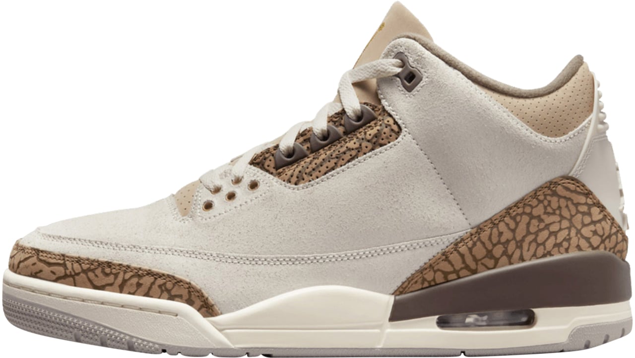 Nike Air Jordan 3 Retro Palomino Divers