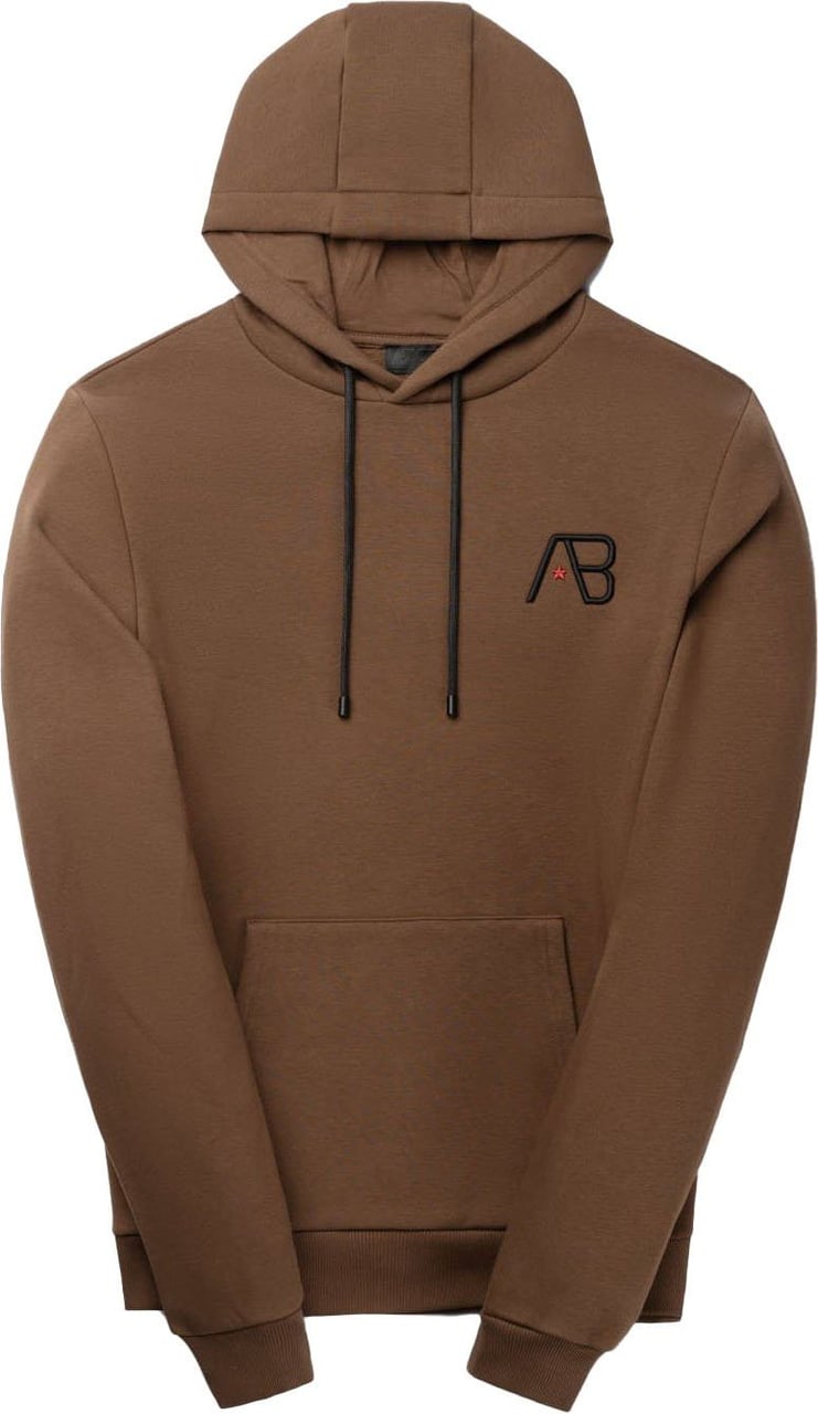 AB Lifestyle Holland Hoodie | Downtown Brown Bruin