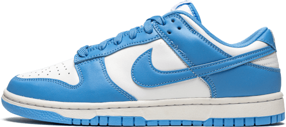 Nike Nike Dunk Low UNC Wit