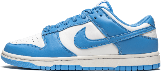 Nike Nike Dunk Low UNC Wit