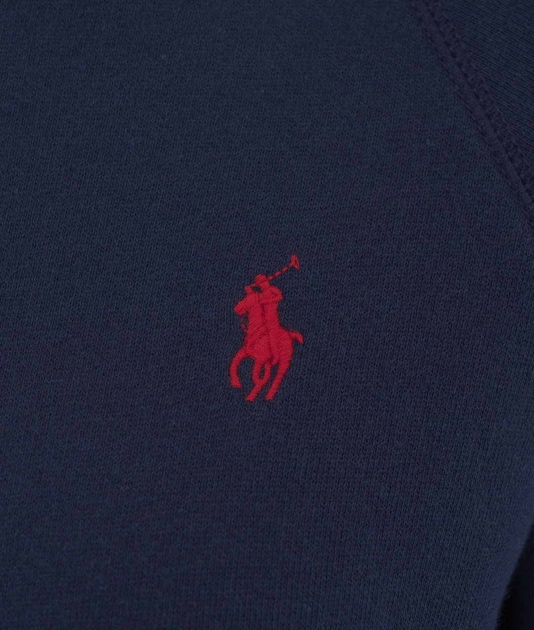 Ralph Lauren Hoodie with embroidered logo Blauw