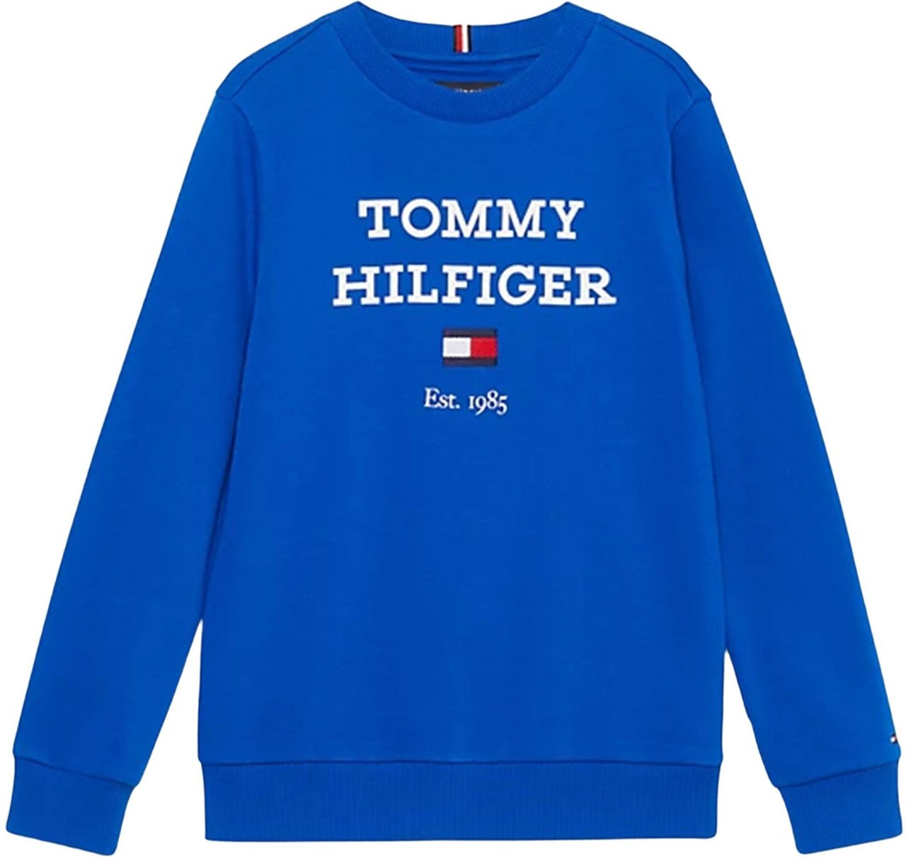 Tommy Hilfiger Sweater Blauw
